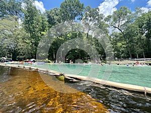 A tarp holds back the tannic Sante Fe river from Rum Island spring, Florida