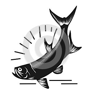 Tarpon Fish for vintage and more photo