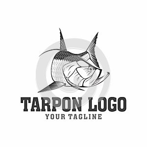 Tarpon fishing logo design vector