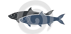 Tarpon logo. Isolated tarpon on white background