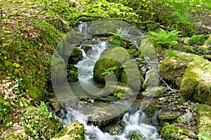 Tarr Steps in Exmoor National Park