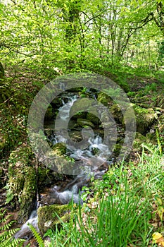 Tarr Steps in Exmoor National Park