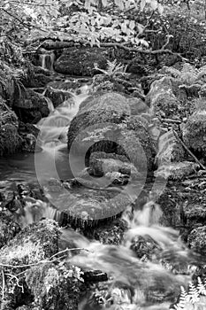 Tarr Steps in Exmoor National Park