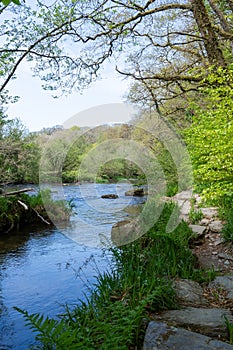 Tarr Steps in Exmoor National Park