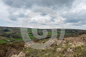 Tarr Steps in Exmoor