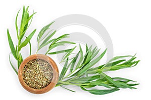 Tarragon or estragon fresh and dried isolated on a white background with copy space for your text. Top view. Flat lay