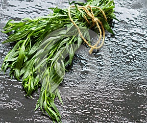 Tarragon. Estragon. Fresh sprigs of organic tarragon