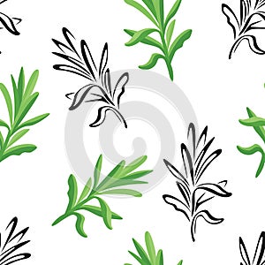 Tarragon leaf seamless pattern. Vector color illustration of green culinary aromatic estragon herb