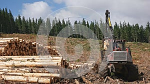 TARRALEAH, AUSTRALIA- JANUARY, 6, 2017: rear view of a crane arm unloading pine logs in tasmania