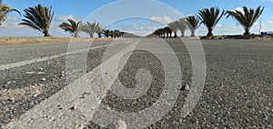 Tarred road with trees on the side in Walvis Bay,Namibia on the 14 of February 2021.