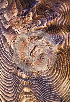 Tarred wooden structure