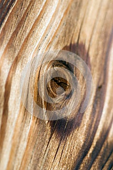 Tarry wooden texture