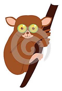 Tarsier, illustration, vector