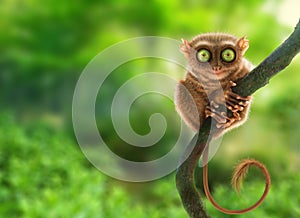 Tarsier monkey in natural environment. Digital art.