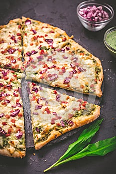 Tart flambee Flammkuchen with ramson sour cream, onion and bacon