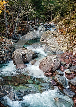 Tartagine river in Balagne region of Corsica