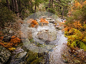 Tartagine river in Corsica in autum