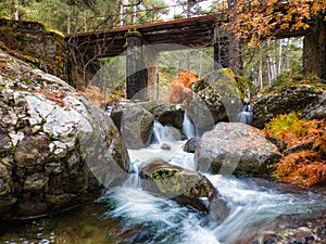 Tartagine river in Corsica in autumn