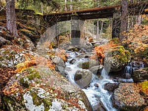 Tartagine river in Corsica in autumn