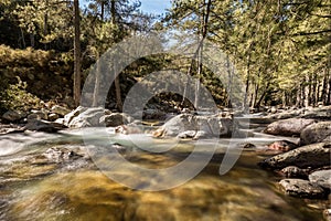 Tartagine river flows over colourful pebbles in Corsica