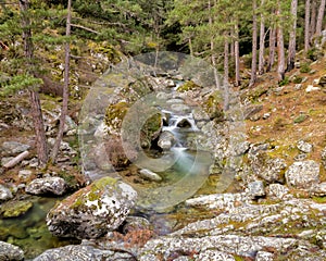 The Tartagine river near MausolÃ©o in Corsica