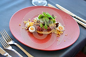 Tartare dish on red plate