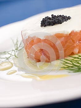 Tartare of Wild Salmon Creme Fraiche