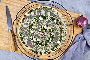 `Tarte Flambee` or `Flammkuchen`, a thin pizza-like baked pie from German-French Alsace border region, vegetarian variation