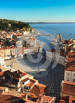 The Tartini Square in Piran