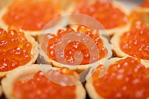 Tartlets with salmon caviar on a platter. Close-up, selective focus