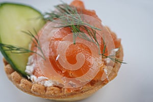 Tartlets with salmon, cheese, cucumber and dill. Tasty snacks with salted salmon and cottage cheese filling