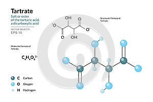 Tartrate. Salt or Ester of the Tartaric Acid, a Dicarboxylic Acid. Structural Chemical Formula and Molecule 3d Model. C4H4O6