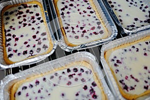 Tarts with blackcurrant