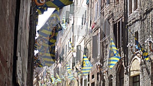 Tartuca colours, Siena