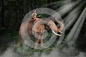 Tarzan Jungle Girl Elephant Illustration