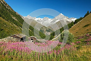 Taschalp, Tasch, Zermatt, Weisshorn, Switzerland