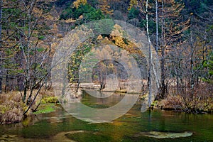 Tashiro pond surrounded by woods mountains, late autumn season in Kamikochi ,Japan
