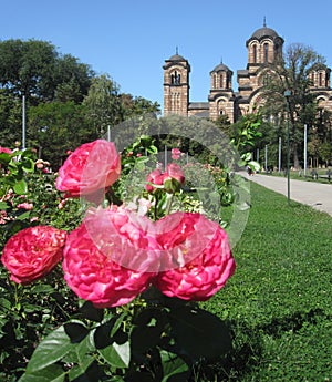 Tasmajdan Park in Belgrade, Serbia