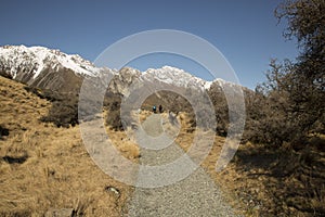 Tasman Track, Mt Cook National Park