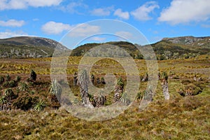 Tasmania, Cradle Mountain Lake St. Clair National Park