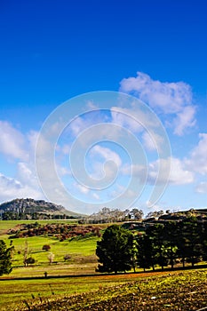 Tasmania landscapre