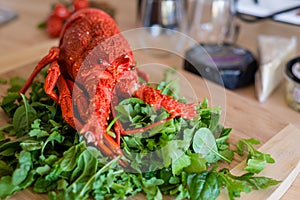 Tasmanian speciality, lobster