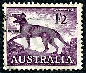 Tasmanian Tiger Australian Postage Stamp