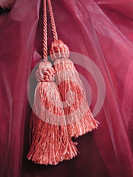 Tassels photo