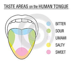 Taste Buds Colored Tongue Chart