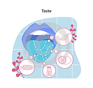 Taste illustration. A depiction of the gustatory system with symbols for sweet, sour, salty. photo