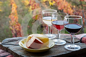 Taste of Portugal, fortified port wines and goat and sheep cheeses produced in Douro Valley with colorful terraced vineyards on