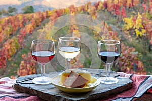 Taste of Portugal, fortified port wines and goat and sheep cheeses produced in Douro Valley with colorful terraced vineyards on