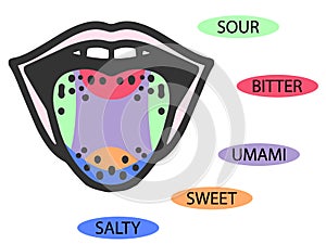 Taste scheme concept. Raster flat modern color illustration. Mouth tasty sense symbol. Umami, sweet, sour, bitter, salty