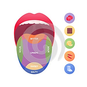 Taste scheme concept. Vector flat modern color illustration. Tongue with lips. Mouth tasty sense symbol. Umami, sweet, sour,